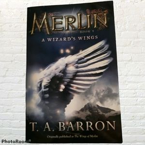 Merlin A Wizard's Wings